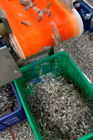 ISO 11.7KW Shrimp Deheading Machine Multipurpose Adjustable Speed