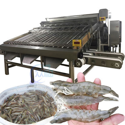 SUS304 Practical Shrimp Sorting Machine , Anti Corrosion Prawn Grader