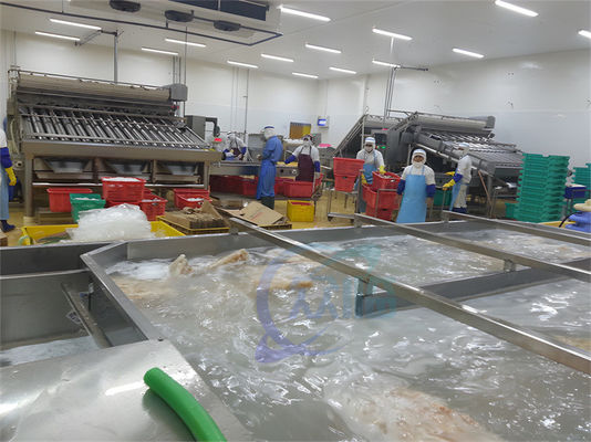 ISO Industrial Automatic Fish Processing , Multifunctional Seafood Processing Plant