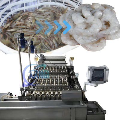 SUS304 PLC Shrimp Peeling Machine Multipurpose 3600x2260x2200mm