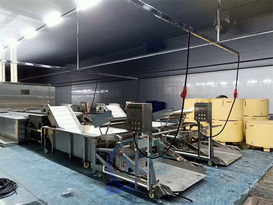 380V 50Hz Shrimp Processing Machine Multifunctional 2100x1560x1300mm