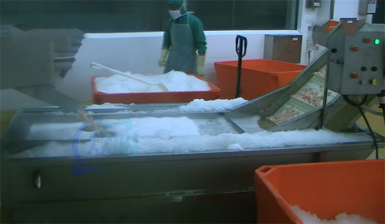 Cooked Shrimp Rapid Cooling Water Circulation Cleaning And Cooling Machine For Cooked Shrimp Processing Steam