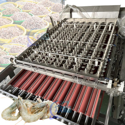 良い値段 50Hz 3P エビ自動弾丸機 安定ステンレス鋼 オンライン