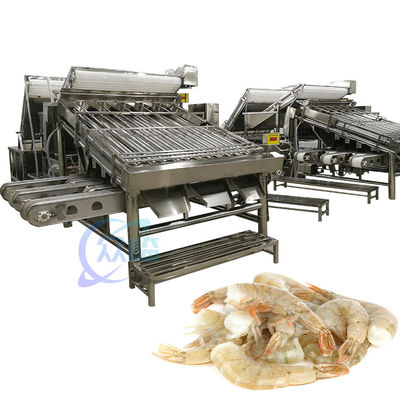 産業用ガリガリの分類機 防腐 多用途