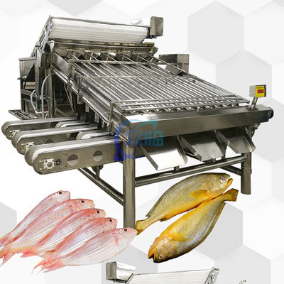 良い値段 自動魚類分類機 4900W 多目的アンチエロード オンライン
