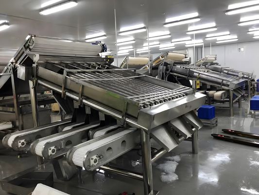 良い値段 3P 耐久性ガチョウ分類機 侵食防止のガチョウ分類装置 オンライン