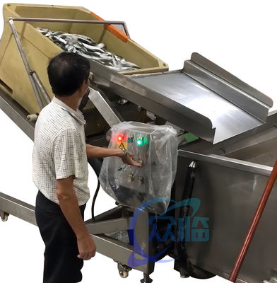 安定した産業用キャベツ加工機器 侵食防止のキャベツリフティングマシン