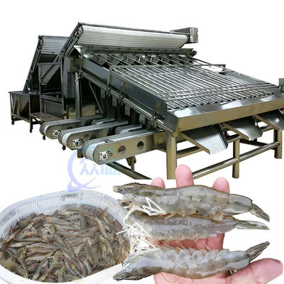 良い値段 1500KGの魚類キャリッジグラダー マシン 多用途産業用 オンライン
