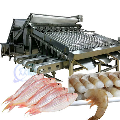 良い値段 ISO 1500KG 海産物分類機 多機能魚のサイズ分類機 オンライン