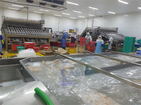 良い値段 ISO 産業自動魚加工 多機能産海産品加工工場 オンライン