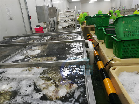 良い値段 SUS304 安定した魚加工機 防水性 オンライン