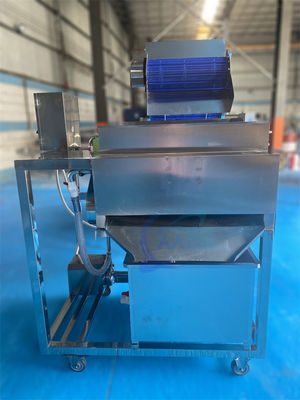 1500W 安定した魚加工工場設備 産業用キャベツのひげ分離機