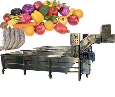良い値段 2200W SUS304 小型魚洗浄機 耐久性のある果物・野菜洗浄機 オンライン
