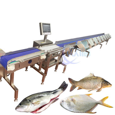 完全に自動的な魚の重量分類機 食品輸送機 秤