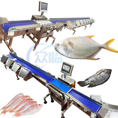 良い値段 SUS304 魚の重量分別機 レバー型 261pcs/min オンライン