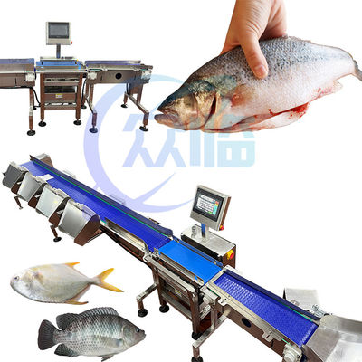 商業用魚のサイジングマシン 単重量範囲 1g-3g パンガシウス グレード
