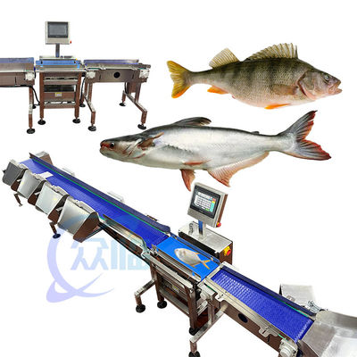 良い値段 62m/min 魚の重量分別機 生魚の重量分別機 コンピュータ制御 オンライン