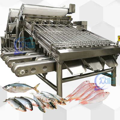 生産量は大きい 18ロールの魚類を並べ替える機械と魚のサイズ