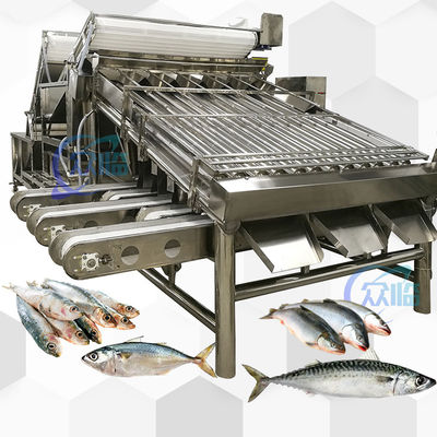 小型魚のための魚類分類機 魚類分類装置 分類システム