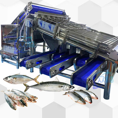 良い値段 高容量魚類分類機 4.9KW 2 -8T/H オンライン