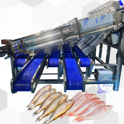 18pcsローラーSS304 小魚の分類機 小魚の分類ライン