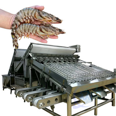 海鮮のガチョウ加工の分類機 自動 速魚 ガチョウサイズ分類機 ガチョウ生産ライン スクリーニングマシン