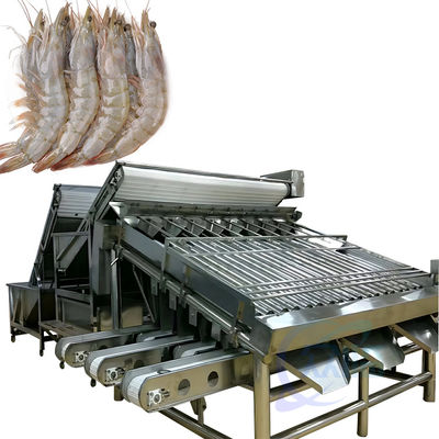 良い値段 整合されたエビと魚の清掃機械の生産ライン カスタマイズされた大きなドラムエビの分類機械 オンライン