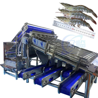 貝類の分類機 清掃・分類機  automatic shell grinding, shell shelling and detheading of shrimp  automated shell grinding, shelling and detheading of shrimp 自動的な貝殻の磨き,剥離,剥離する機械