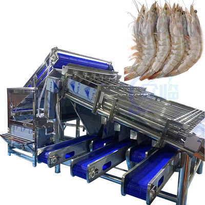 完全に自動 多機能魚とガリガリを分類する機械 パーソナライズドロール 急速なガリガリを分類する機械