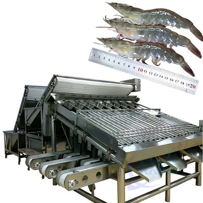 良い値段 海産物とガリガリの分類加工機械,ガリガリーや魚の分類機械,ガリガリーやガリガリーの分類機械 オンライン