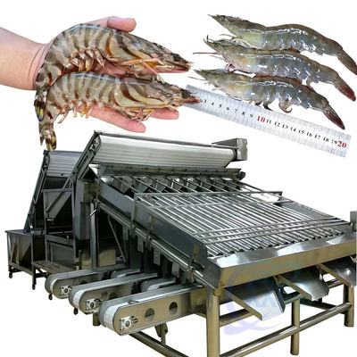良い値段 魚のサイズをスクリーニングする機械 オンライン