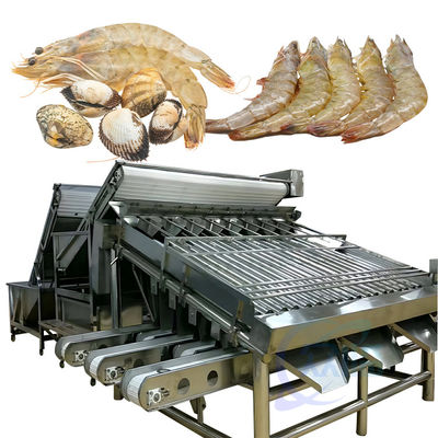 自動食品加工ライン 魚を分類する機械