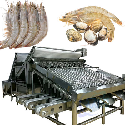 良い値段 魚のスケール清掃と加工ライン 生産ライン 選別マシン オンライン