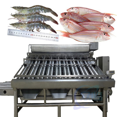 自動魚分類機 魚のサイズ分類機