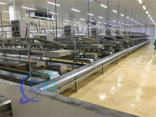 良い値段 3.10KW 輸送船 魚加工ライン 魚脱垢生産ライン 魚の皮 オンライン