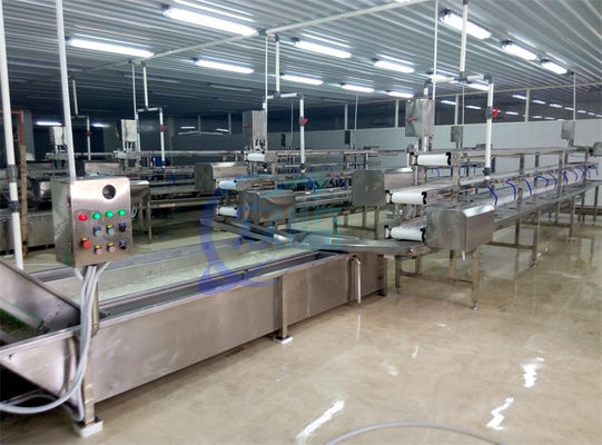 良い値段 2.22KW SS 果物・野菜加工用洗濯機 生産ライン レタス カブス エアスプレー洗濯機 オンライン