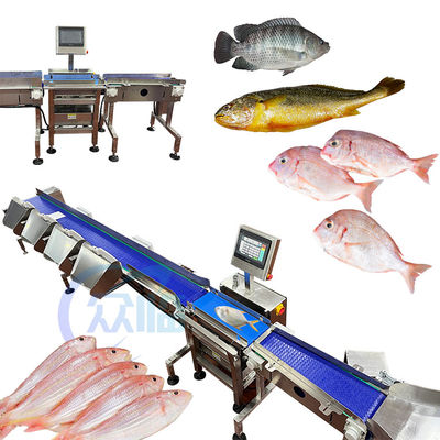コンピュータ制御 魚類分類機 魚類のサイズ計測機 ティラピアバサのキャットフィッシュの分類