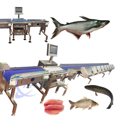 良い値段 高精度魚類分類機 SUS 304 耐久性魚類分類機 自動魚類分類機 オンライン