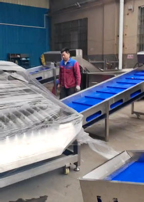 良い値段 自動魚類分類ラインのための大容量5〜10T/Hのペラジック魚類分類機 オンライン