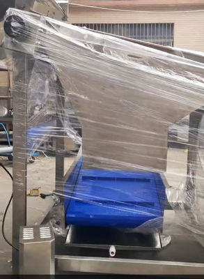 低価格の魚 自動分類機 高い安定性を持つ他の小さな魚の分類