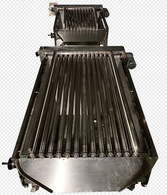 良い値段 4つのモデル オートマチックな魚の分類機と 高い安定性を持つ小さな魚のサイズ オンライン
