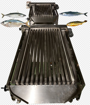 良い値段 4つのスタイル 自動マクロの分類ラインとペラジック魚の分類機器 オンライン