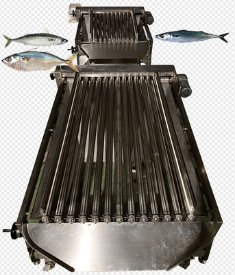 4つのスタイル 自動魚の分類ラインとマケロルのスローリングマシン