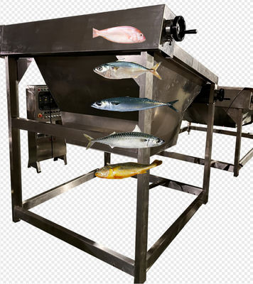 4つのスタイルの自動魚の分類ラインとサイズのマクラライン 5-10T/H
