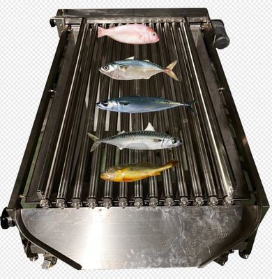 高品質のPLC制御魚の分類ライン