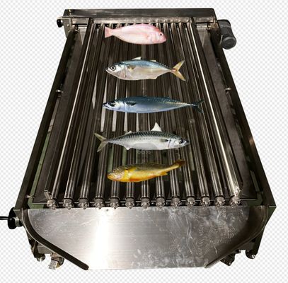良い値段 海の魚類を多くの種類に分類するための高速自動魚のサイジングマシン オンライン