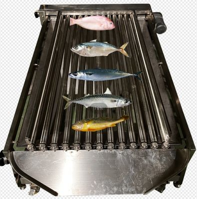容量 5-10T/H 魚の自動分類機,小魚のサイズと海洋の分類