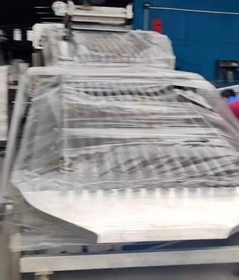 自動で小型魚を分類するためのPLC制御魚分類機器