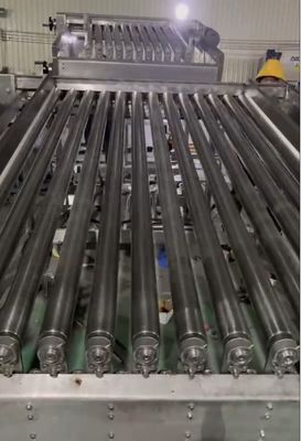 良い値段 最も安定したサルジン魚の分類機,他の小型魚を分類する大きな容量 オンライン