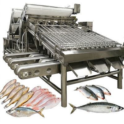 良い値段 高速ゾリム 自動 サウリー 選別機 ローラー グレード 1人操作 小魚 海鮮 サイズ 機器 オンライン